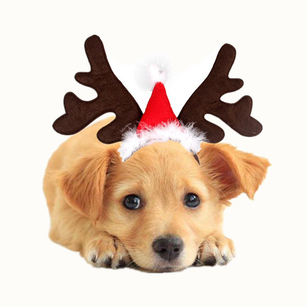 Deer Antlers Headband Cute Ear - Reindeer Antlers Headband recension och pris
